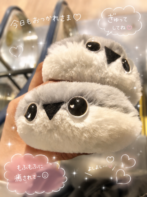 写メ