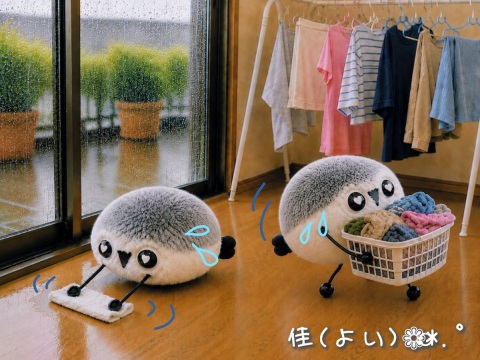 写メ