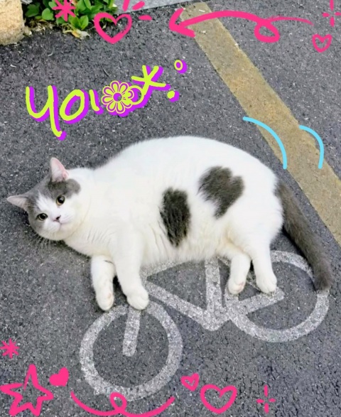 写メ