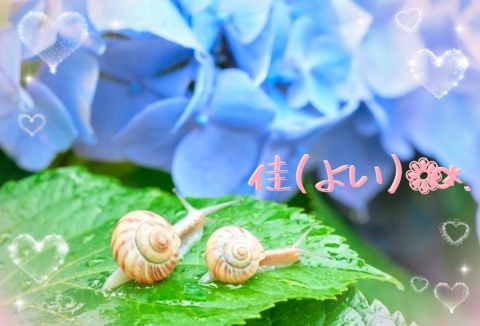 写メ