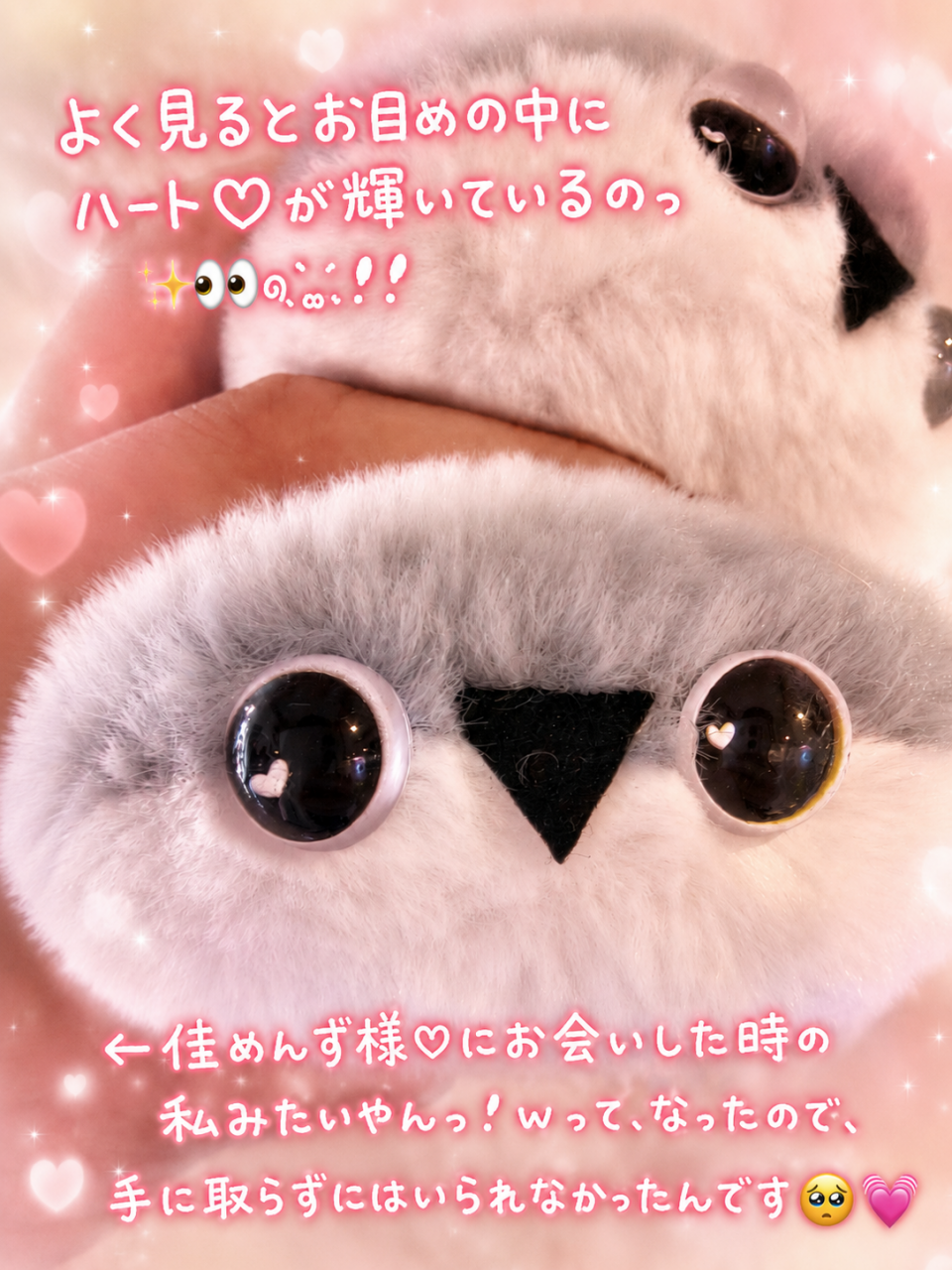 アップロード画像