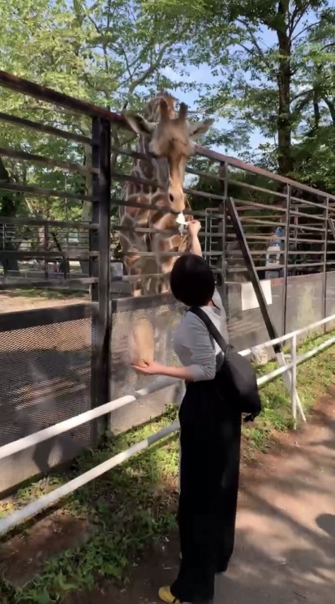 写メ