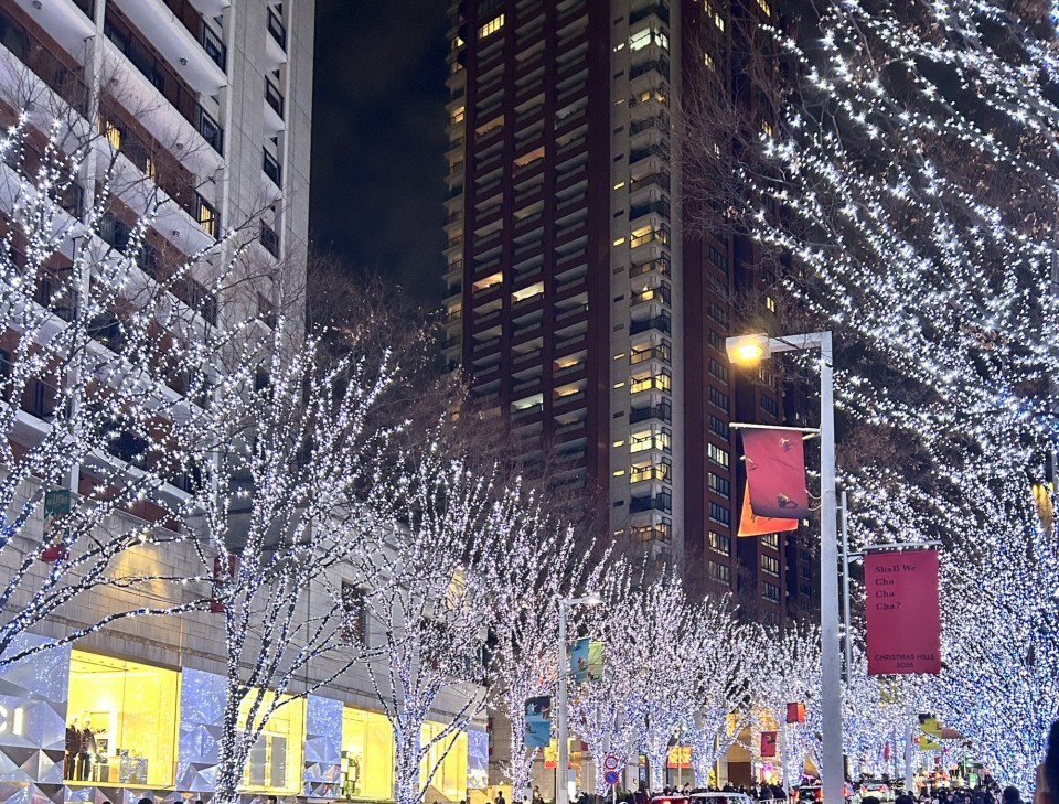 アップロード画像