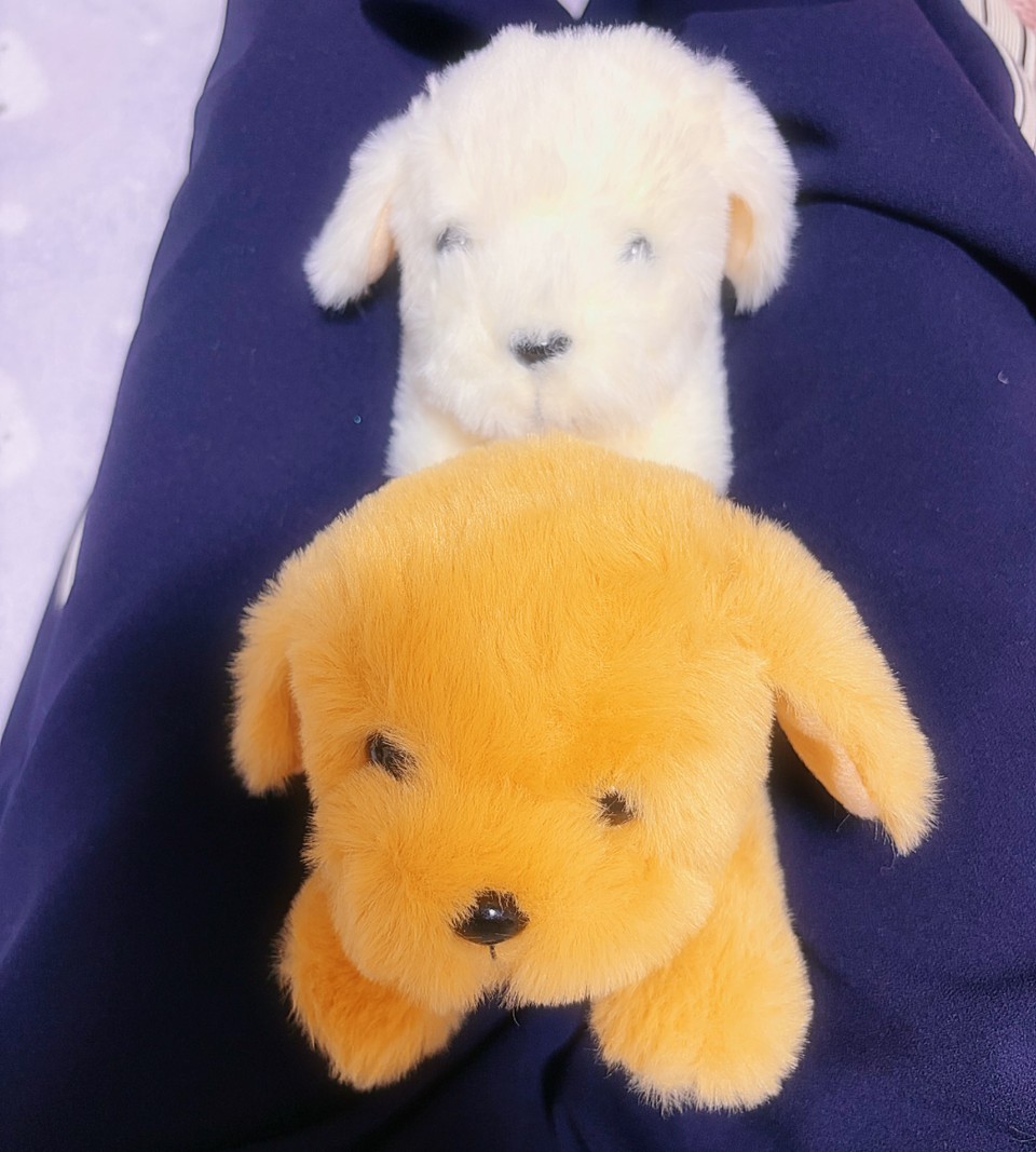 アップロード画像