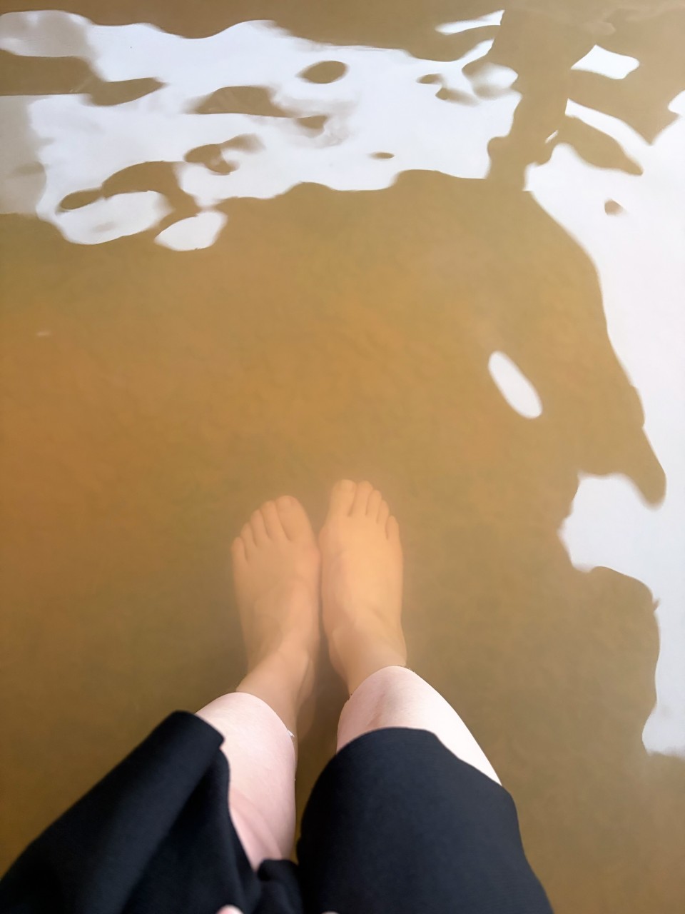 アップロード画像