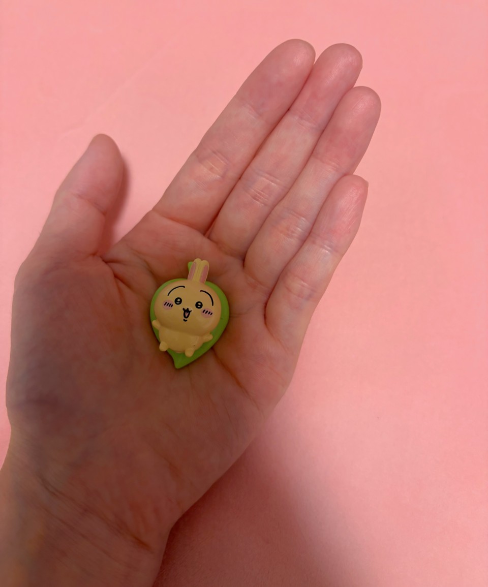 アップロード画像