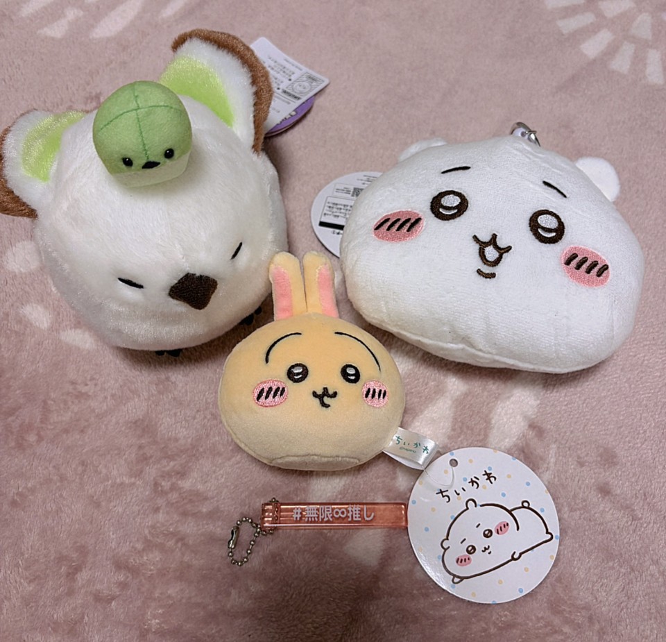 アップロード画像