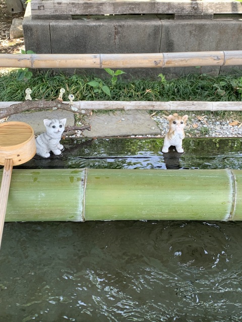 写メ
