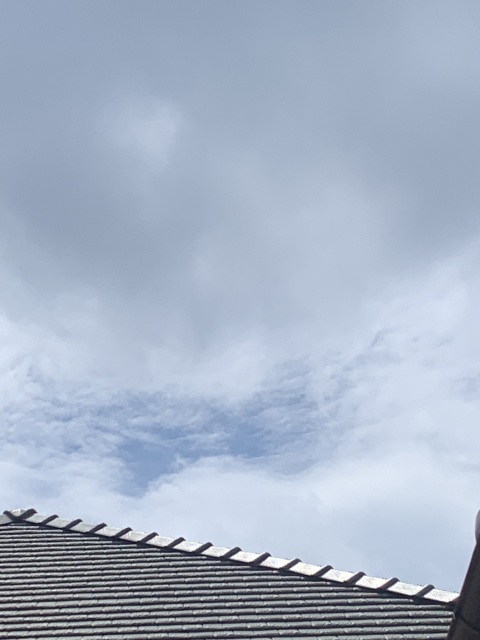 写メ
