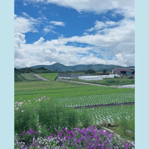 写メ