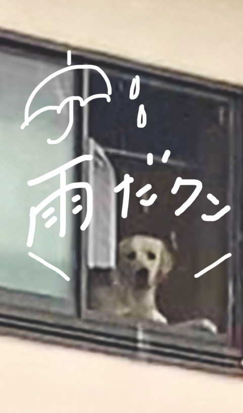写メ